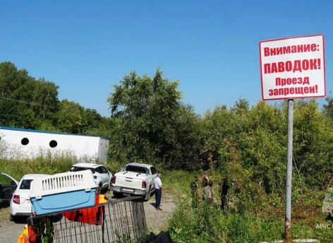 В Тюмени срочно набирают волонтеров для борьбы с паводком: власти заявили о критической ситуации