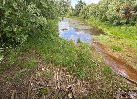 В Сургуте 14 августа пройдет акция по очистке берегов водоемов от мусора