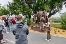 ​В центре Тюмени откроют 11 «Садов времени» – живую лабораторию под открытым небом