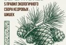 ​Не ломать ветки и не сбивать шишки: в Югре напомнили правила сбора кедрового ореха