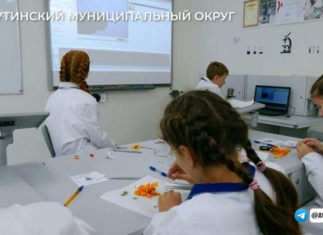 В Тюменской области родители массово записывают детей в кружки и секции при помощи онлайн-сервиса
