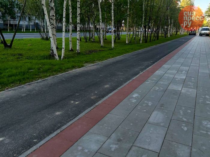 ​Власти Сургута хотят объединить все велодорожки в единый маршрут